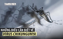 Bệnh chikungunya là gì, có đáng lo ngại không?