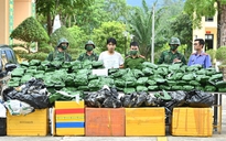 Bắt tài xế vận chuyển 115 kg cần sa khô