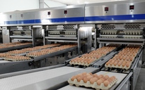 'Vua thép' tăng lợi nhuận nhờ... trứng gà