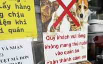 Tranh cãi quán ăn TP.HCM cấm khách mang thú cưng vào: Hợp lý hay khắt khe?