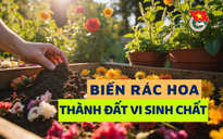 Cùng sống xanh số 120: Tạo mầm sống khỏe từ phế phụ phẩm ngành hoa