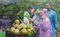 Từ vụ 'đại sứ' Phạm Thoại, có nên chọn KOL, KOC làm 'đại sứ nông sản'?