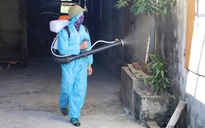 Số ca sốt xuất huyết tăng đột biến, tỉnh Tây Ninh chỉ đạo xử lý ổ dịch