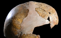 Người Neanderthal và người hiện đại đã có con với nhau từ 140.000 năm trước