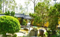 Ngôi chùa 130 năm tuổi xanh mát giữa trung tâm Cần Thơ
