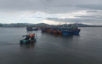 Quảng Trị tổng lực ứng phó bão số 5, bảo vệ tàu thuyền, sản xuất