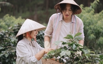 Thêm phim Việt - Hàn rục rịch ra rạp sau thành công của 'Mang mẹ đi bỏ'