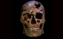 Giải mã bộ hài cốt 12.000 năm tuổi ở Ninh Bình