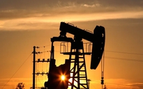 Giá xăng dầu hôm nay 29.8.2025: Biến động sau thông tin Nga tấn công Ukraine trong đêm