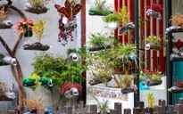 'Bảo tàng' của rác thải tái chế kể chuyện sống xanh