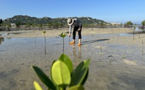 Cậu bé 13 tuổi siêng năng tiết kiệm điện thành nếp sống mỗi ngày