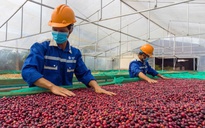 Giữa thuế đối ứng, đơn hàng xuất khẩu tăng trở lại