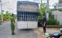 Ngăn chặn hơn 13 tấn dầu ăn đã qua sử dụng tuồn vào Cần Thơ