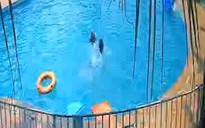 Đồng Nai: Bé gái 7 tuổi bị đuối nước, tử vong tại hồ bơi