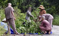 Đà Nẵng: Xử phạt nhóm người chặt nho rừng ở bán đảo Sơn Trà