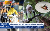 Xem nhanh 20h ngày 8.8: Nắng nóng gay gắt, khi nào hết 'hạn bà chằn' | Bệnh chikungunya lây lan toàn cầu