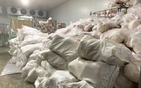 Phát hiện 100 tấn thịt heo đông lạnh bốc mùi hôi ở Gia Lai