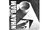 Nhàn đàm: Mưa nấm mối