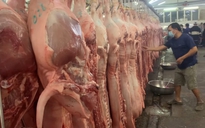 Giá heo hơi hôm nay 10.9.2025: Bật tăng, lên lại mức 60.000 đồng/kg