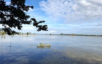 Miền Tây mùa nước lụt năm xưa: Cá rô đầy ruộng, người dân giăng lưới khắp đồng