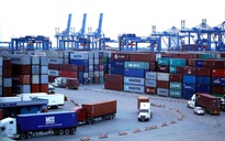 'Chi phí logistics rất khủng khiếp, doanh nghiệp Việt khó cạnh tranh'