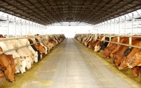 Nông nghiệp Hòa Phát chính thức nộp hồ sơ 'lên sàn'