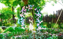 Quán cà phê ở Cần Thơ có nhiều hoa lá như Đà Lạt
