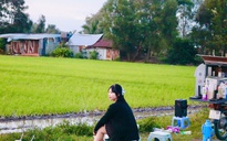 Rủ nhau ra giữa đồng lúa uống cà phê, ngắm hoàng hôn