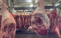 Giá heo hơi hôm nay 19.9.2025: Lùi về mức 57.000 đồng/kg 