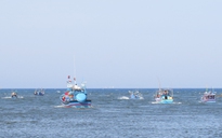 Tâm tình của biển: Chừa cá nhỏ cho ngày sau