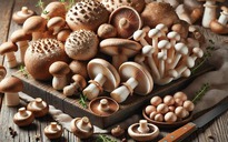 Nấm giúp hạ huyết áp, giảm cholesterol và nguy cơ ung thư