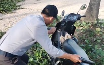 Thực hư clip du khách tố nhân viên 'xô đổ' xe máy xuống bãi biển Đà Nẵng