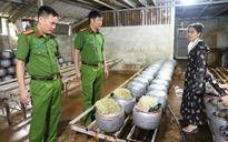 Phát hiện cơ sở dùng chất cấm sản xuất giá đỗ với số lượng lớn