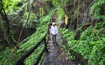 Hà Tiên thập cảnh: Cheo leo núi Đá Dựng