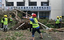 Bão Ragasa gây thiệt hại tại Trung Quốc, bão Bualoi tiến đến Philippines