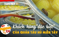 Bầy ong 'mở hàng' quán tàu hũ miền Tây: Cộng tác viên dự báo thời tiết