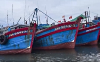 Ngắt giám sát hành trình, 4 thuyền trưởng tàu cá bị phạt gần 900 triệu đồng