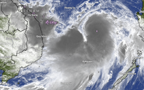 10 bộ và 14 tỉnh, thành lưu ý đặc biệt khi ứng phó bão số 10