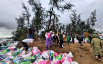 Bão số 10 (bão Bualoi): Hơn 200 người gia cố đê biển ở Hà Tĩnh