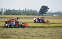 Đồng Tháp đột phá trong nông nghiệp, hướng đến phát triển nhanh và bền vững