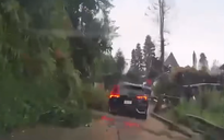 Sạt lở cuốn trôi 3 người và ô tô xuống vực sâu 20 m