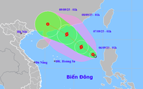 Áp thấp nhiệt đới sẽ mạnh thành bão, Biển Đông sóng cao 4 m