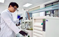 Bài báo trên tạp chí khoa học của trường ĐH Việt nào được tính điểm cao nhất?