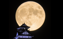Lịch âm hôm nay 8.9: Kỳ lạ trăng tròn tháng 7 âm lịch
