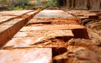 Cận cảnh tháp Chăm ngàn năm tuổi mới trùng tu nhưng gạch phục chế đã mủn nát