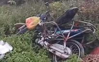 Ngăn chặn hiểm họa