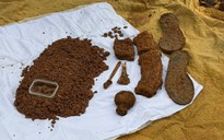 Quảng Trị: Quy tập 2 hài cốt liệt sĩ trong rừng tràm của người dân