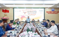 Vòng loại phía bắc đã sẵn sàng bùng nổ