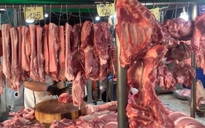 Giá heo hơi hôm nay 21.1.2026: Không còn giá 70.000 đồng/kg