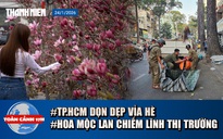 Toàn cảnh 17h: TP.HCM dọn vỉa hè đón tết | Ngắm hoa mộc lan 'gây sốt' thị trường Hà Nội